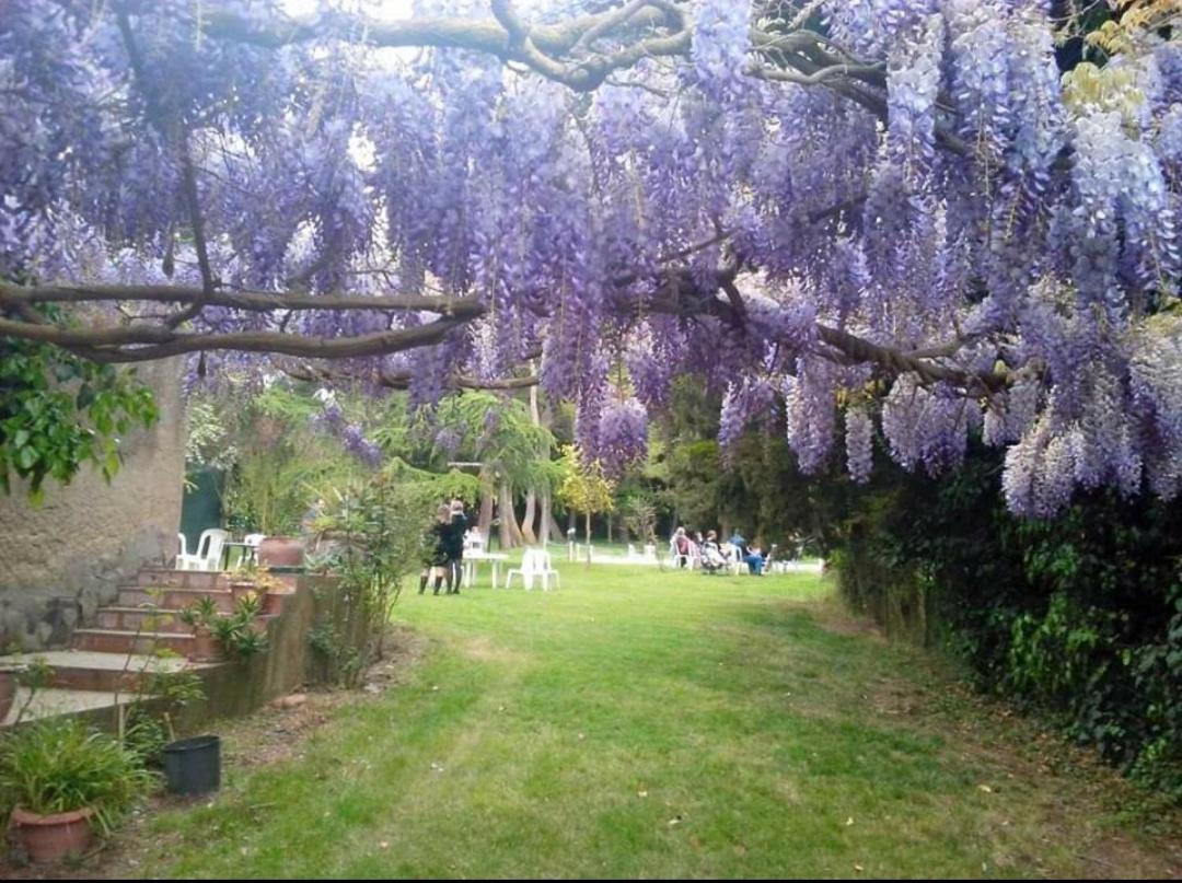 Agriturismo Feudo Tudia Landro Bagian luar foto