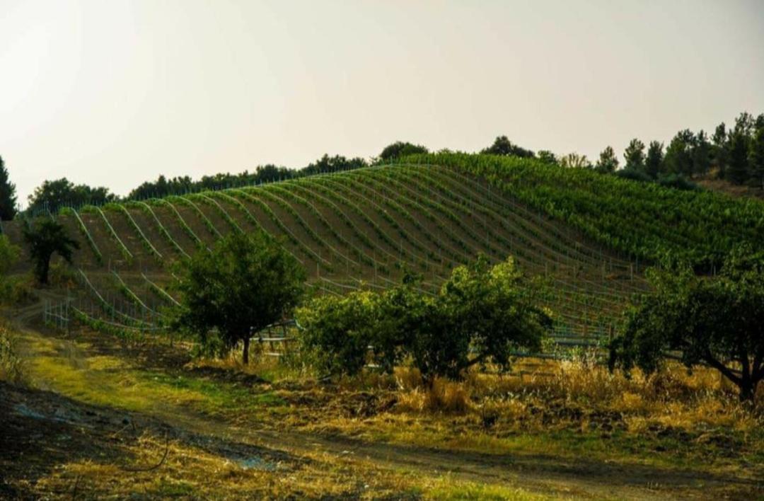 Agriturismo Feudo Tudia Landro Bagian luar foto