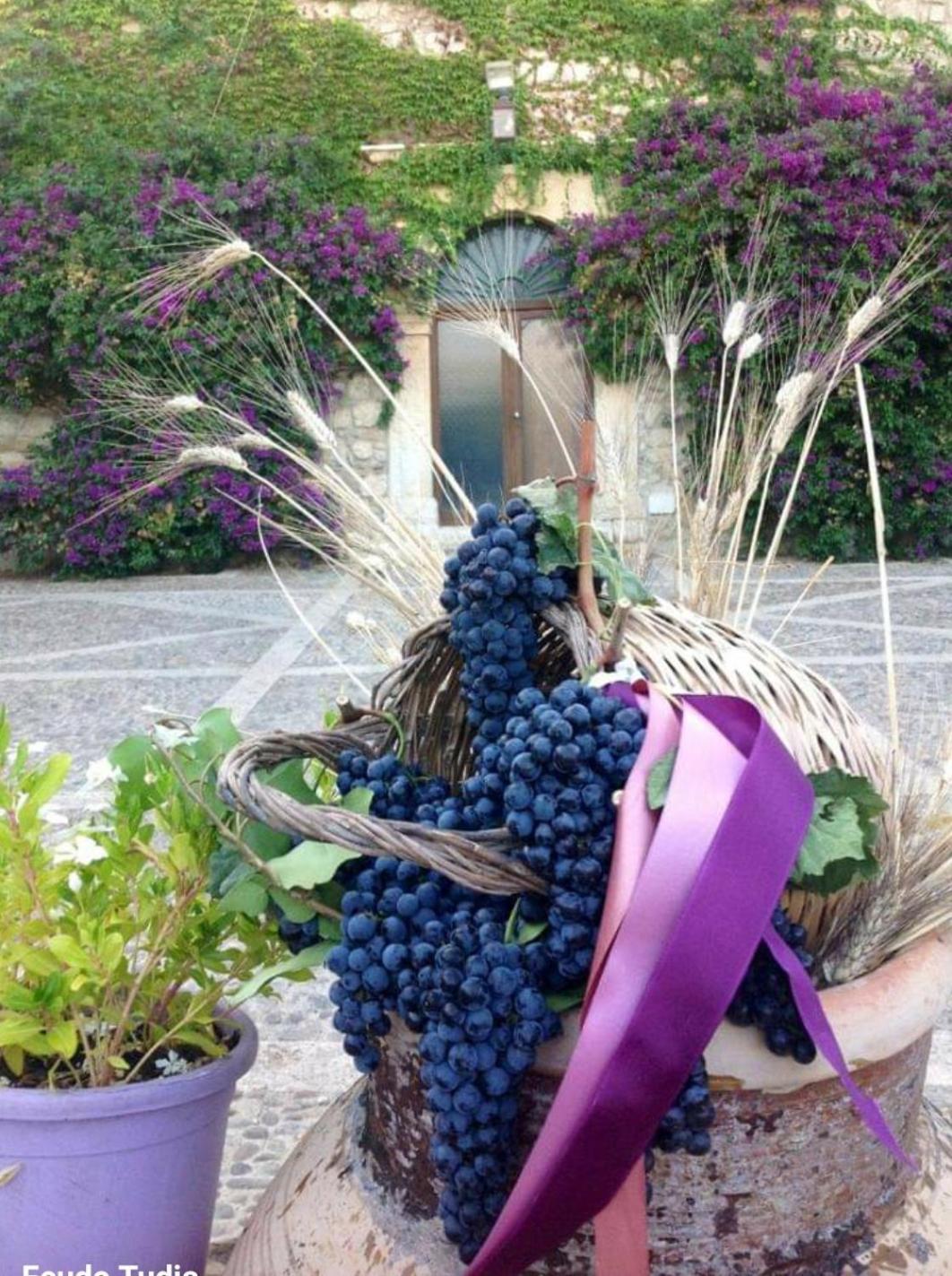 Agriturismo Feudo Tudia Landro Bagian luar foto